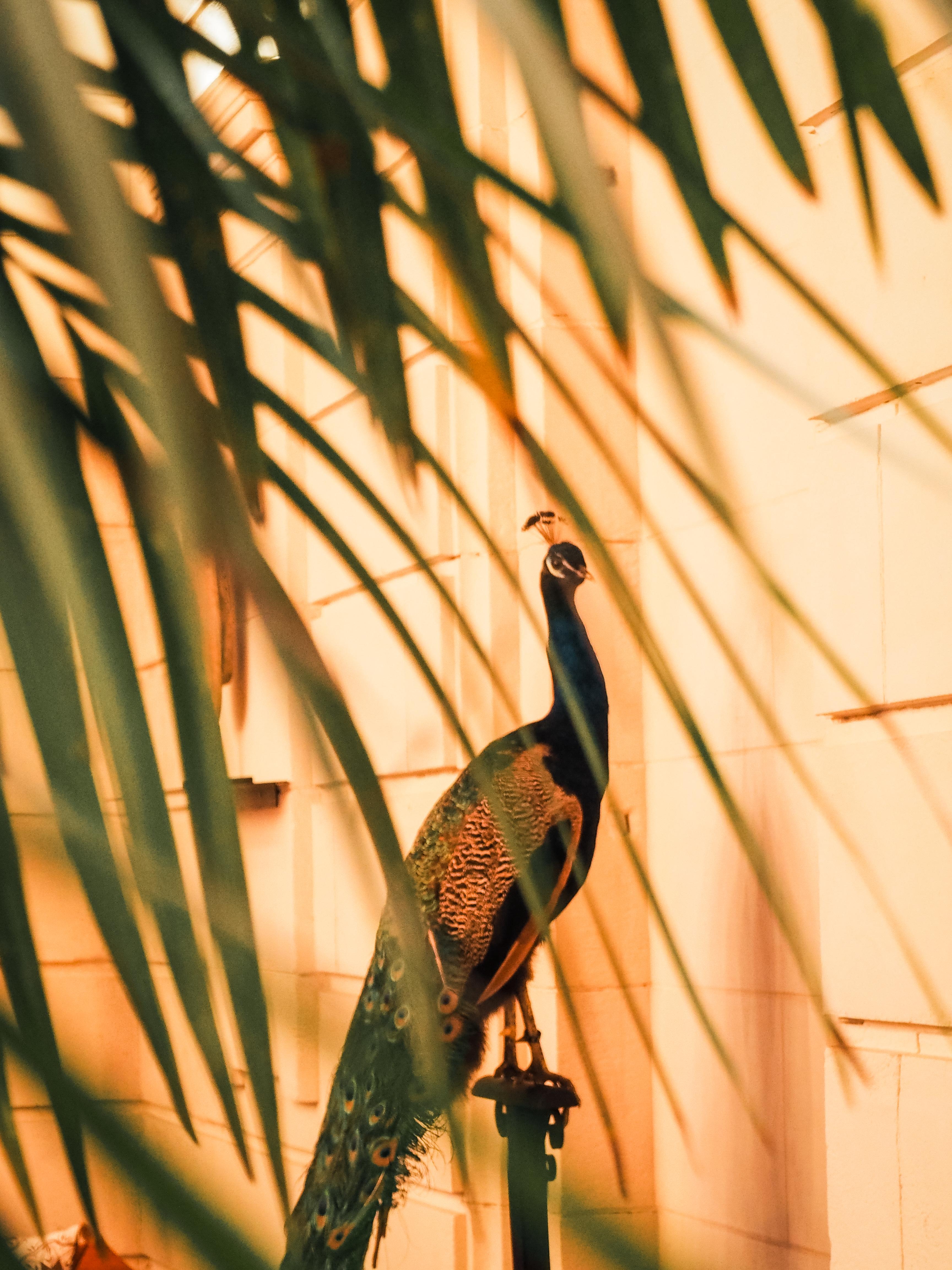 Hotel La Zoologie & Spa ボルドー エクステリア 写真