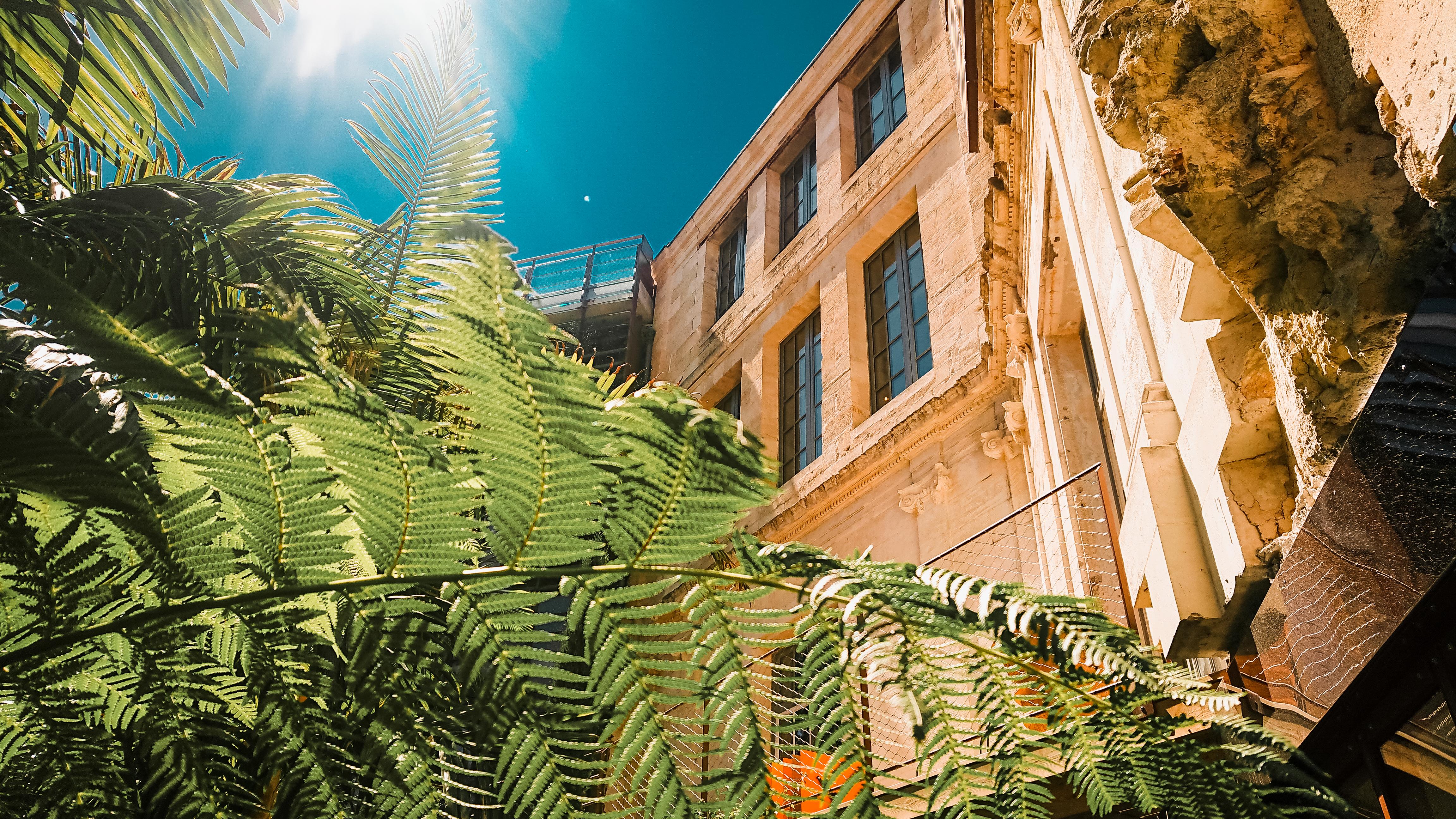 Hotel La Zoologie & Spa ボルドー エクステリア 写真
